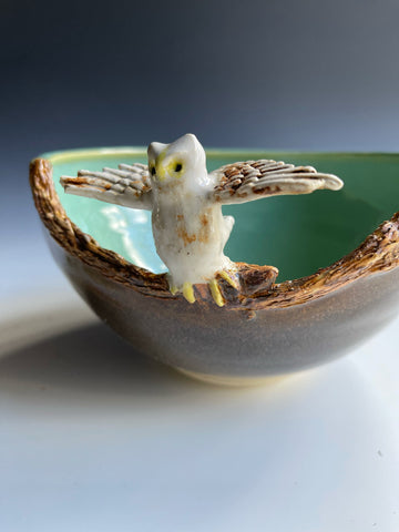 bowl Owl 1